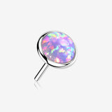 14 Karat White Gold OneFit Threadless Bezel Fire Opal Top Part