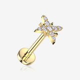 Implant Grade Titanium OneFit Threadless Golden Glistening Starburst Sparkle Top Flat Back Stud Labret-Clear Gem
