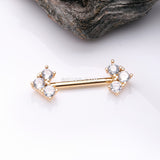 A Pair of Golden Geometric Sparkle Arrow Ends Nipple Barbell-Clear Gem