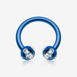 Colorline PVD Aurora Gem Ball Horseshoe Circular Barbell