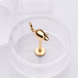 Detail View 1 of Golden Charming Little Mouse Top Internally Threaded Labret Flat Back Stud