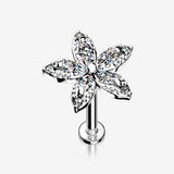 Marquise Sparkle Spring Flower Internally Threaded Labret