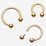 Pure24K Implant Grade Titanium Internally Threaded Horseshoe Barbell