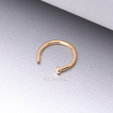 Detail View 1 of Pure24K Implant Grade Titanium Basic Nose Hoop Ring