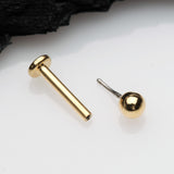 Detail View 2 of Golden Basic Ball Top Threadless Push-In Steel Labret