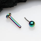 Detail View 2 of Colorline Basic Ball Top Threadless Push-In Steel Labret