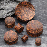 Detail View 2 of A Pair of Concave Coconut Wood Double Flared Plug