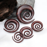 Detail View 2 of A Pair of Dark Tamarind Wood Super Spiral Hanger Plug