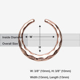 Detail View 1 of Rose Gold Aelia Faceted Steel Pincher Septum Ring
