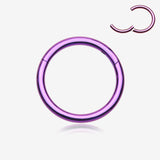 Implant Grade Titanium PVD Colorline Basic Seamless Hinged Clicker Hoop Ring