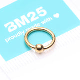 Detail View 4 of Pure24K Implant Grade Titanium Basic CBR Style Seamless Clicker Hoop Ring