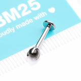 Detail View 4 of Implant Grade Titanium Obsidian Stone Ball Claw Prong Internally Threaded Flat Back Labret
