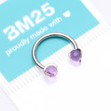 Detail View 4 of Implant Grade Titanium Amethyst Stone Ball Claw Prong Internally Threaded Horseshoe Barbell