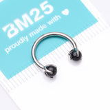 Detail View 4 of Implant Grade Titanium Black Onyx Stone Ball Claw Prong Internally Threaded Horseshoe Barbell