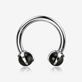 Implant Grade Titanium Black Onyx Stone Ball Claw Prong Internally Threaded Horseshoe Barbell