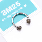 Detail View 4 of Implant Grade Titanium Obsidian Stone Ball Claw Prong Internally Threaded Horseshoe Barbell