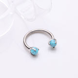 Detail View 1 of Implant Grade Titanium Turquoise Stone Ball Claw Prong Internally Threaded Horseshoe Barbell