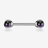 A Pair of Implant Grade Titanium Amethyst Stone Ball Claw Prong Internally Threaded Nipple Barbell