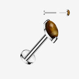 Implant Grade Titanium OneFit Threadless Marquise Tiger Eye Stone Top Flat Back Labret