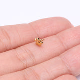 Detail View 3 of Pure24K Implant Grade Titanium OneFit Threadless Adorable Paw Top Part