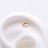 Detail View 1 of Pure24K Implant Grade Titanium OneFit Threadless Adorable Paw Top Part