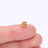 Detail View 2 of Implant Grade Titanium OneFit Threadless Golden Adorable Paw Top Part