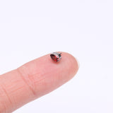 Detail View 2 of Implant Grade Titanium OneFit Threadless Teardrop Sparkle Top Part-Red