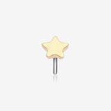 Implant Grade Titanium OneFit Threadless Golden Star Top Part