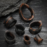 Detail View 2 of A Pair of Teardrop Tiger Ebony Wood Double Flared Tunnel Plug