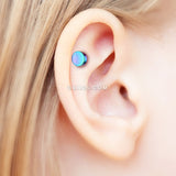 Detail View 3 of Colorline Steel Plate Cartilage Tragus Earring