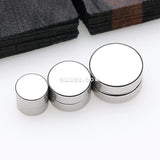 A Pair of Stainless Steel Magnetic Fake Plug Earring