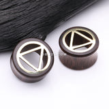 Detail View 1 of A Pair of Karma Triangle Geometric Brass Rosewood Double Flared Tunnel Plug