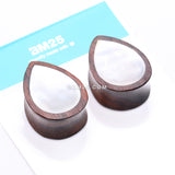 Detail View 4 of A Pair of Rosewood Bali Mother of Pearl Inlay Teardrop Double Flared Plug