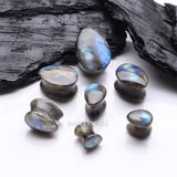 Detail View 2 of A Pair Of High Grade Labradorite Teardrop Convex Stone Double Flared Plug