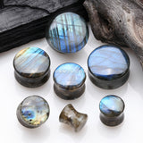 Detail View 2 of A Pair Of High Grade Labradorite Concave Stone Double Flared Plug