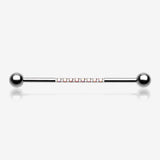 Sparkle Lined Gems Industrial Barbell