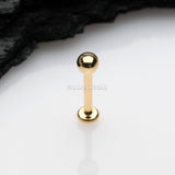Detail View 1 of Golden Basic Ball Top Threadless Push-In Steel Labret