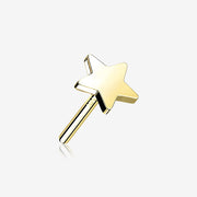 14 Karat Gold OneFit™ Threadless Flat Star Top Part