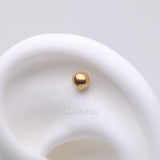 Detail View 1 of Implant Grade Titanium OneFit Threadless Golden Ball Top Part