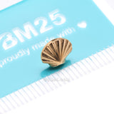 Detail View 4 of Implant Grade Titanium OneFit Threadless Golden Adorable Sea Shell Top Part