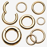 Implant Grade Titanium PVD Golden Basic Seamless Hinged Clicker Hoop Ring