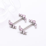 Detail View 1 of A Pair of Implant Grade Titanium Sparkle Ray Internally Threaded Nipple Barbell-Pink