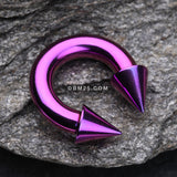 Colorline PVD Basic Spike Top Horseshoe Circular Barbell-Purple