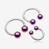Colorline PVD Ball Ends Steel Horseshoe Circular Barbell-Purple