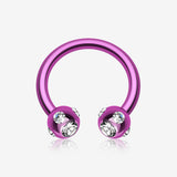Blackline PVD Aurora Gem Ball Horseshoe Circular Barbell-Purple/Clear