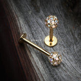 Detail View 1 of Golden Pave Sparkle Full Dome Top Steel Labret-Aurora Borealis