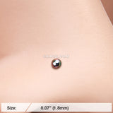 Detail View 2 of Colorline Ball Top Basic Nose Stud Ring-Rainbow