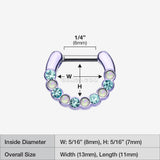 Detail View 1 of Colorline Opal Paradigm Septum Clicker-Purple/Aqua