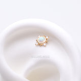 Detail View 1 of 14 Karat Gold OneFit Threadless Fire Opal Sparkle Sun Dial Top Part-White Opal