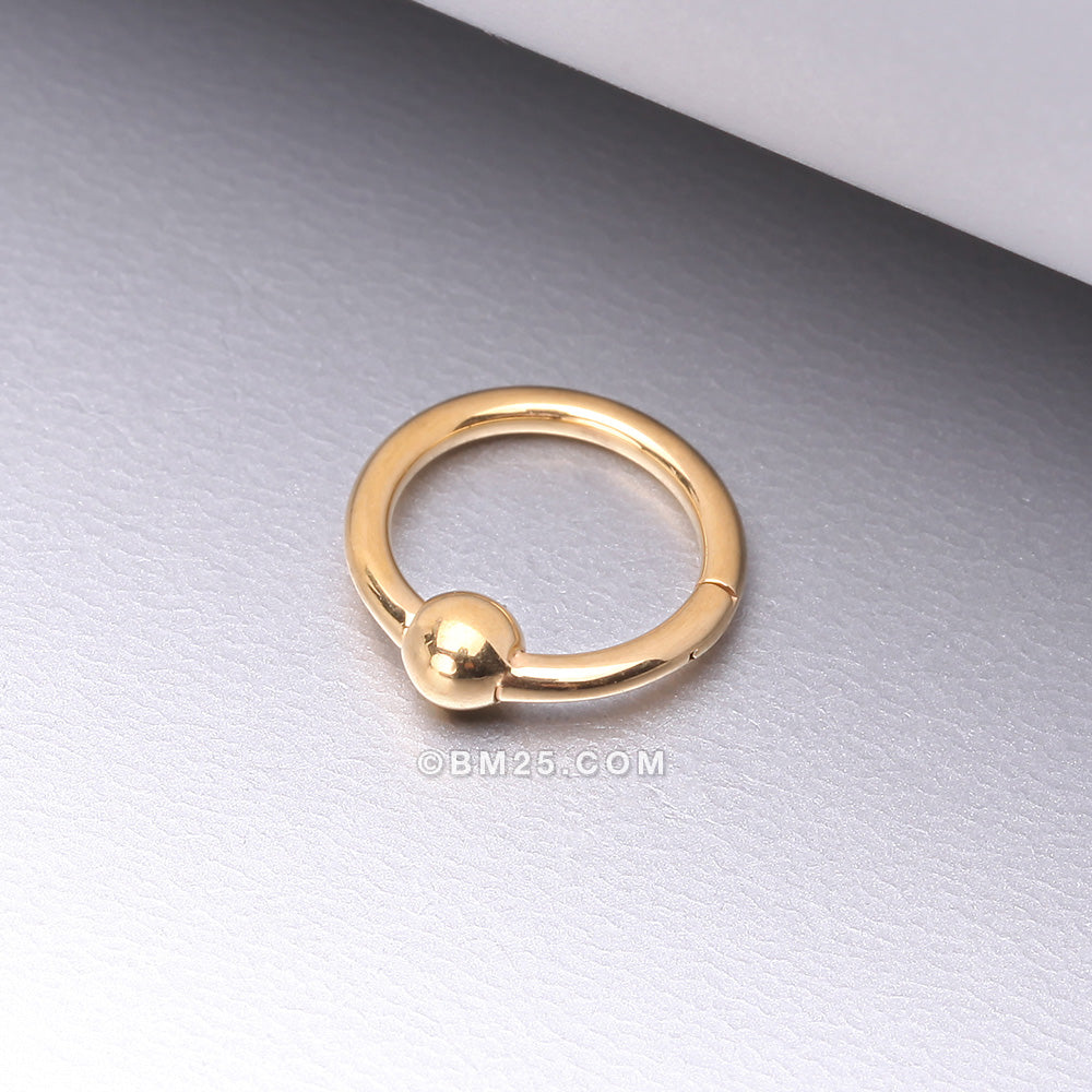 Detail View 1 of Pure24K Implant Grade Titanium Basic CBR Style Seamless Clicker Hoop Ring